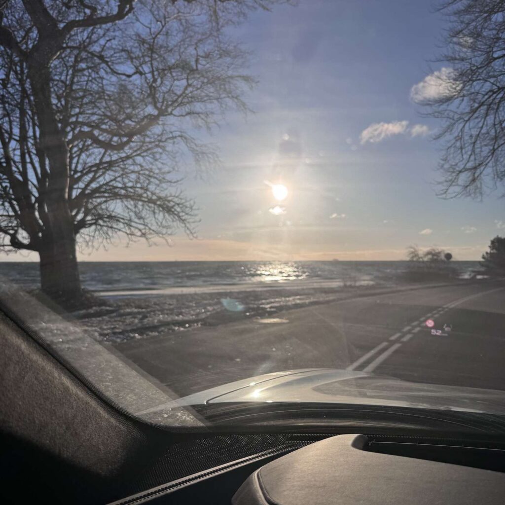 Sol over havet set gennem bilens forrude, med bare træer langs vejen.